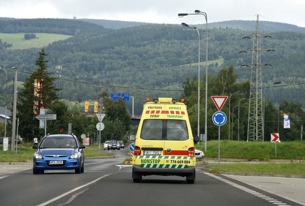 I když je zvířecí sanitka vybavena oranžovými semafory, nepoužívají se při zásahu ani během transportu