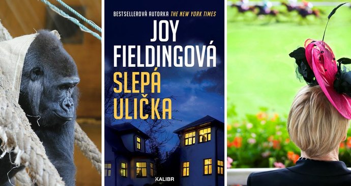 Pecky z redakce: Tyhle události a novinky by vám rozhodně neměly uniknout!