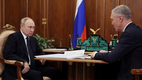 Ruský prezident Vladimir Putin se svým spojencem Volodymyrem Saldem