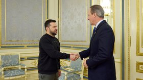 Ukrajinský prezident Volodymyr Zelenskyj přivítal na Ukrajině britského ministra zahraničí Davida Camerona (16.11.2023).