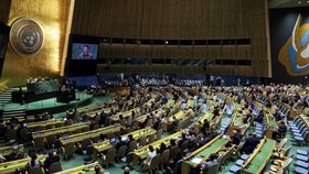 Ukrajinský prezident Volodymyr Zelenskyj během vystoupení před Valných shromážděním OSN (19.9.2023)