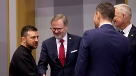 Summit v Bruselu: Ukrajinský prezident Volodymyr Zelenskyj a Petr Fiala na tiskové konferenci. (9.2.2023)