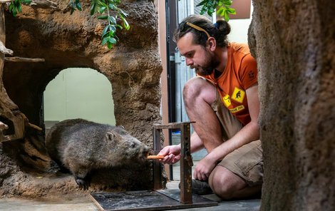 Nedůvěřivá Winkleigh se k chovateli Davidu Valovi přibližuje velmi obezřetně.