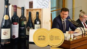 Vondráček vozí po světě parlamentní víno. Má své logo i speciální box.
