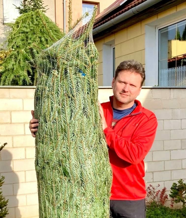 Radek Vondráček se pochlubil vánočním stromkem (20.12.2023)