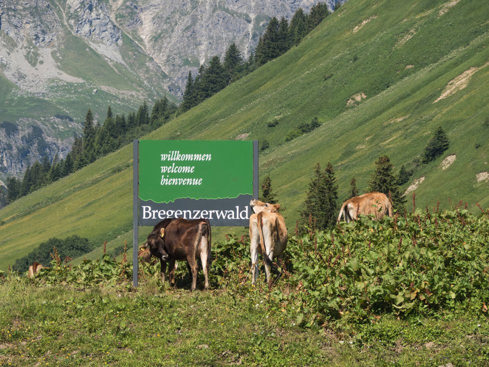 Bregenzský les v rakouském Vorarlbersku