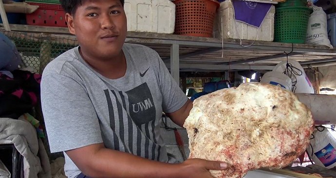 Další thajský rybář našel cennou vorvaní ambru, zřejmě na ní trhne miliony.