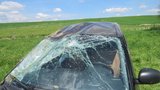 Vosa způsobila nehodu! Alergický řidič (21) autem prorazil sloupek a udělal salto