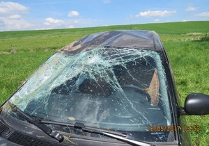 Řidič se lekl vosy, s autem udělal kotrmelec.