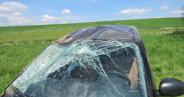 Vosa způsobila nehodu! Alergický řidič (21) autem prorazil sloupek a udělal salto