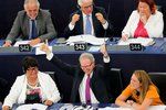 Zpravodaj směrnice o copyrightu Axel Voss (EPP) se raduje, že v parlamentu uspěl