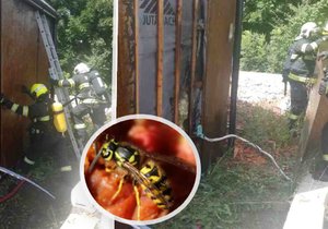 Majitel domu na Přeloučsku se chtěl zbavit vos: Místo toho omylem způsobil požár