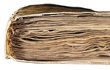Voynichův rukopis: Neznámé písmo provázejí záhadné ilustrace