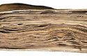 Voynichův rukopis: Neznámé písmo provázejí záhadné ilustrace