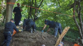 Policie objevila na pozemku sériového vraha McArthura lidské ostatky.