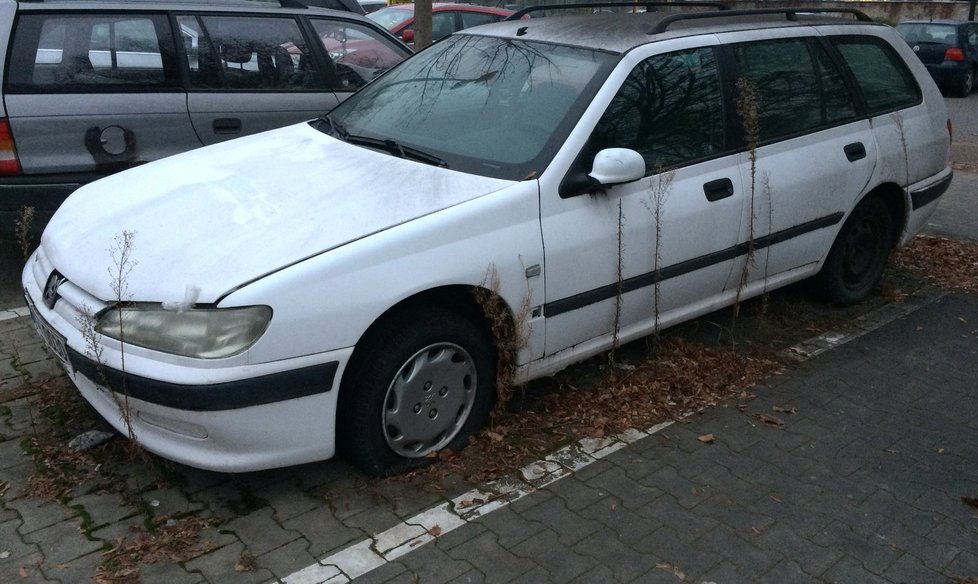 Některá auta parkují v Brně na stejném místě několik měsíců, mají prázdná kola a jsou obrostlá trávou, přesto je není snadné odstranit.