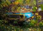 V Česku vzniká fascinující fotosbírka autovraků. Tvoří ji sedmnáctiletý majitel trabantu