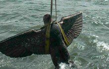 Uruguay pod palbou kritiky kvůli prodeji sochy z potopené nacistické lodi: Říšská orlice má dotovat armádu! 
