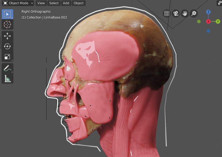 Rekonstrukce obličeje vždy vychází ze svalových úponů na kostech, na které 3D specialista nanese svalovou hmotu. Na snímcích vidíte i vyznačené body, které určují tloušťku dalších měkkých tkání