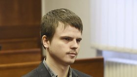 Před olomouckým vrchním soudem 7. února stanul 24letý Radúz Šafránek obžalovaný z loňské vraždy studentky v arboretu Mendelovy univerzity v Brně. Soud rozsudek potvrdil.