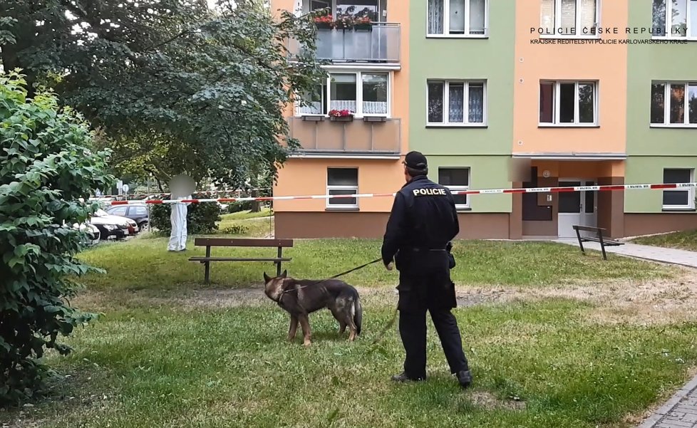 Mladík (21) z Aše se pokusil ubodat svou mámu! Hrozí mu až 18 let za mřížemi.