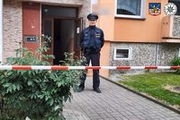 Brutální vražda v Aši: Muž pobodal souseda, mrtvolu našli po třech dnech