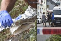 Vražda seniorů v Břeclavi: Smrt kvůli milionu? Byla to jatka, popsal svědek!