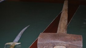 Těžká osmikilová palice a dýka - to jsou vražedné nástroje,  kterými Radim Odehnal vraždil...