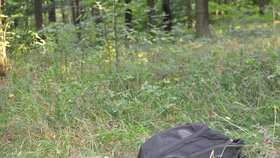 V lese u Dubňan na Hodonínsku, kde mrtvolu chlapce našel náhodný chodec, ležel vedle bezvládného těla batoh.