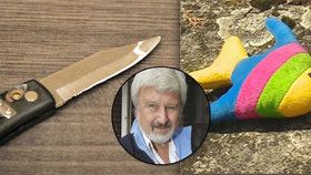 Psychiatr Jan Cimický vysvětlil, co stálo v pozadí hrůzného činu, (chlapcova hračka, vlevo ilustrační foto).