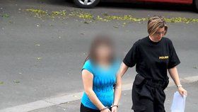 Mladá matka se policistům k vraždě dítěte přiznala.
