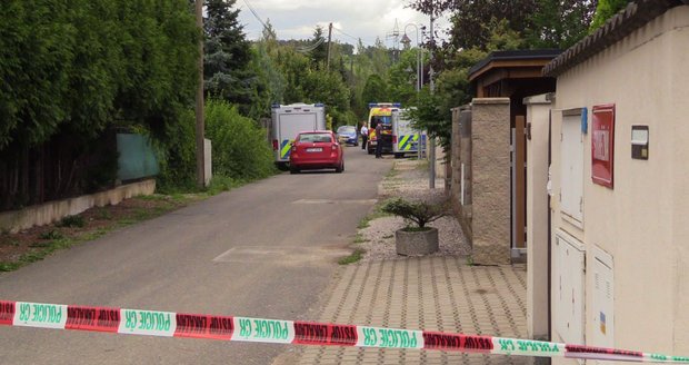 Za vraždu matky si student z Dobřichovic odpyká 8 let vězení.