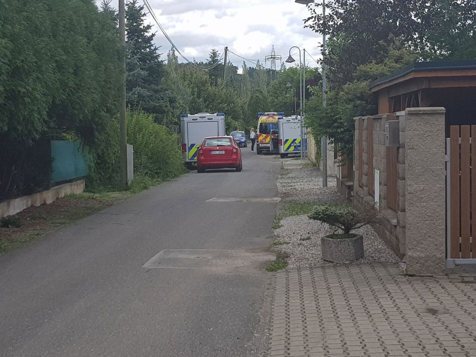 Za vraždu matky si student z Dobřichovic odpyká 8 let vězení.