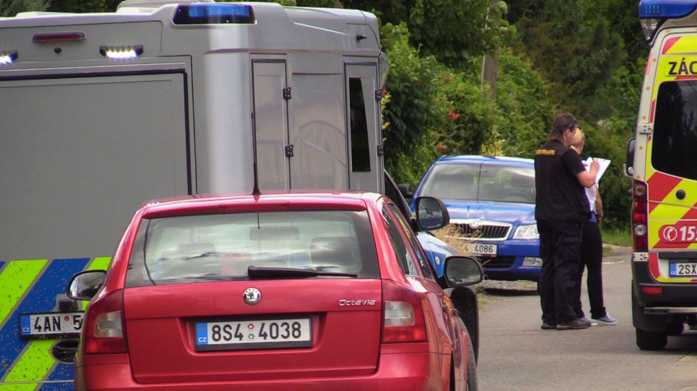 Policie prošetřuje vraždu v Dobřichovicích: Muž měl bodnout do krku vlastní matku.