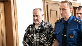 Za vraždu na Benešovsku dostal Jiří Hypša trest 22 let do vězení.