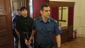 Robert ubodal kamarádku, soud mu snížil trest na 16 let: Lituje a může se polepšit