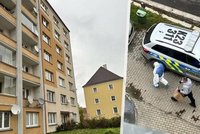 Podivná vražda v Karlových Varech: Kriminalisté vypátrali tělo oběti!