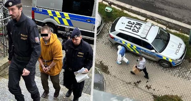 Vrah v Karlových Varech dal tělo kamaráda do kufru a hodil do popelnice: Psycholog sériových vrahů o odporném zločinu