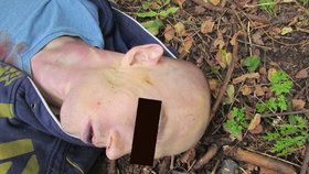 Mrtvolu neznámého muže policisté našli v lesoparku v Košířích.