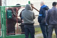 Rekonstrukce brutální vraždy v Kunraticích: Seniora (†80) měl umučit gang! Kriminalisté byli na místě celý den