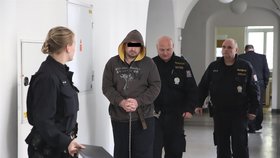 Policejní eskorta přivádí k okresnímu soudu v Hodoníně Tomáše (41).