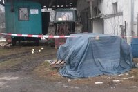 Vražda na Táborsku: Hlídače našli s rozbitou hlavou!