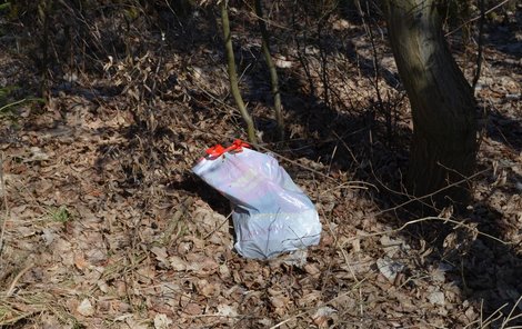 Podobně otřesný názel evidovala Policie také na konci dubna. Mrtvá holčička byla pohozená na břehu v tašce z Penny Marketu.