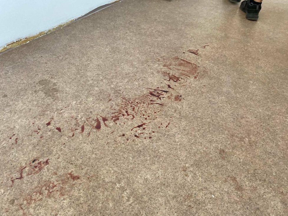 Před dveřmi do bytu, kde ve čtvrtek mělo dojít k vraždě je ještě viditelná zaschlá kaluž krve.