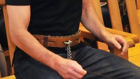 Šmíd se dřív živil jako osobní strážce