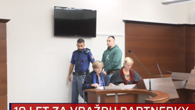 Muž nakonec odešel od soudu s 23letým trestem vězení. Před Vánoce 2023 brutálně zabil svou partnerku před zraky malých dětí