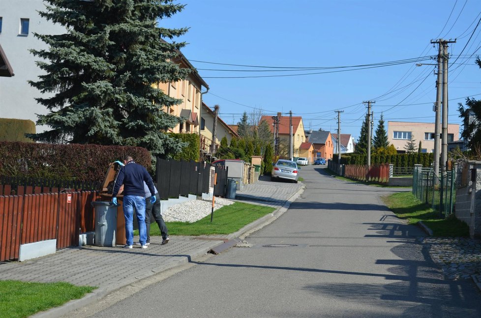 Brutální vražda těhotné Sabiny v Ostravě: Policisté hledají vražednou zbraň v popelnicích?