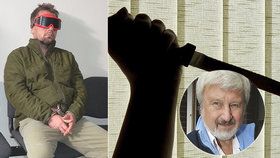 Ubodat Davídka (†7) otci nařídil vnitřní hlas, myslí si psychiatr Cimický.