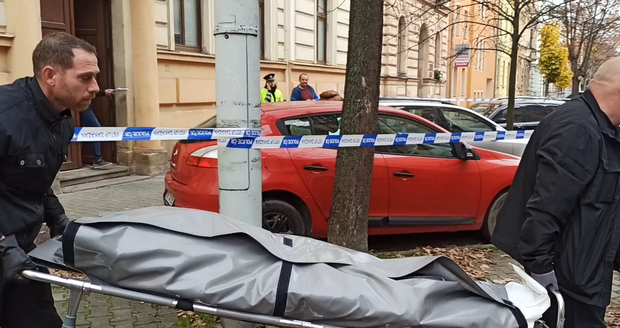 Policie vyšetřuje v Plzni vraždu ženy (†46). Podezřelého muže (25) zadržela.
