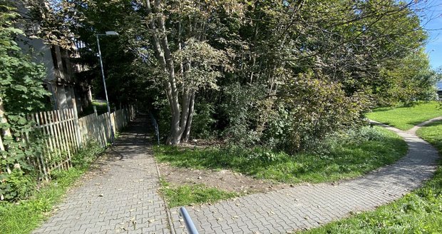 Vražda v Plzni: Zarostlou rokli lemují z obou stran chodníky.